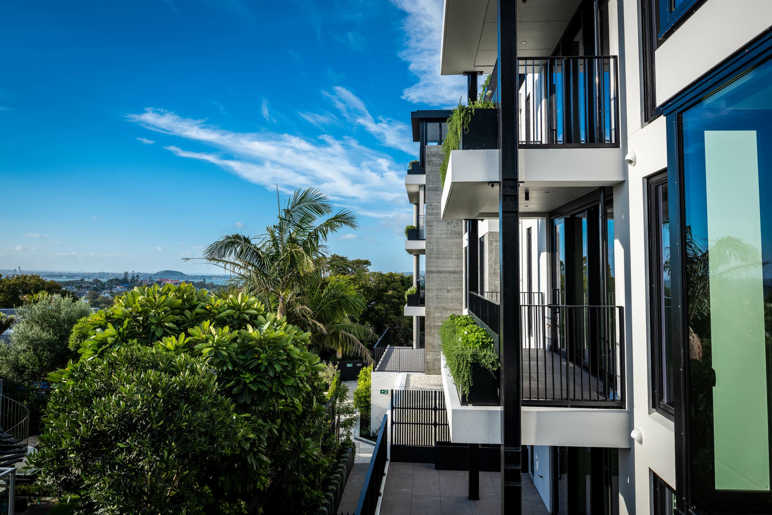 Elm Residence Project, Remuera